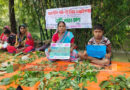 শ্যামনগরে গ্রামীণ পুষ্টির আধার সংরক্ষণে ব্যতিক্রমী ‘খোটা শাকের মেলা’