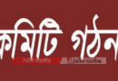 কলারোয়ায় ৯ ইউনিয়নে স্বেচ্ছাসেবক দলের আংশিক আহবায়ক কমিটি গঠন